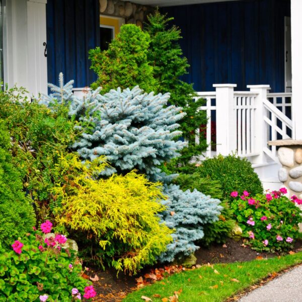 Die schönsten Hauseingang und Vorgarten Ideen für den Eingangsbereich